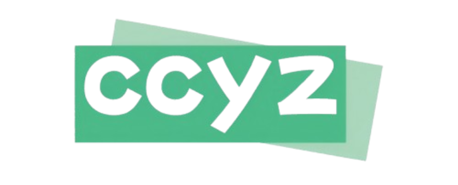 CCYZ 2026年评测封面图片